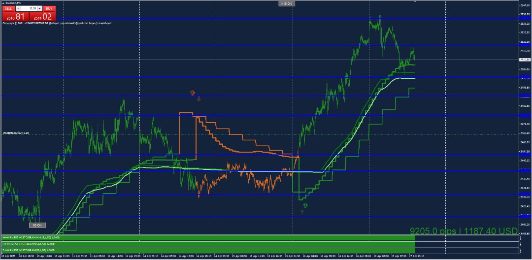 Join ZSS Traders